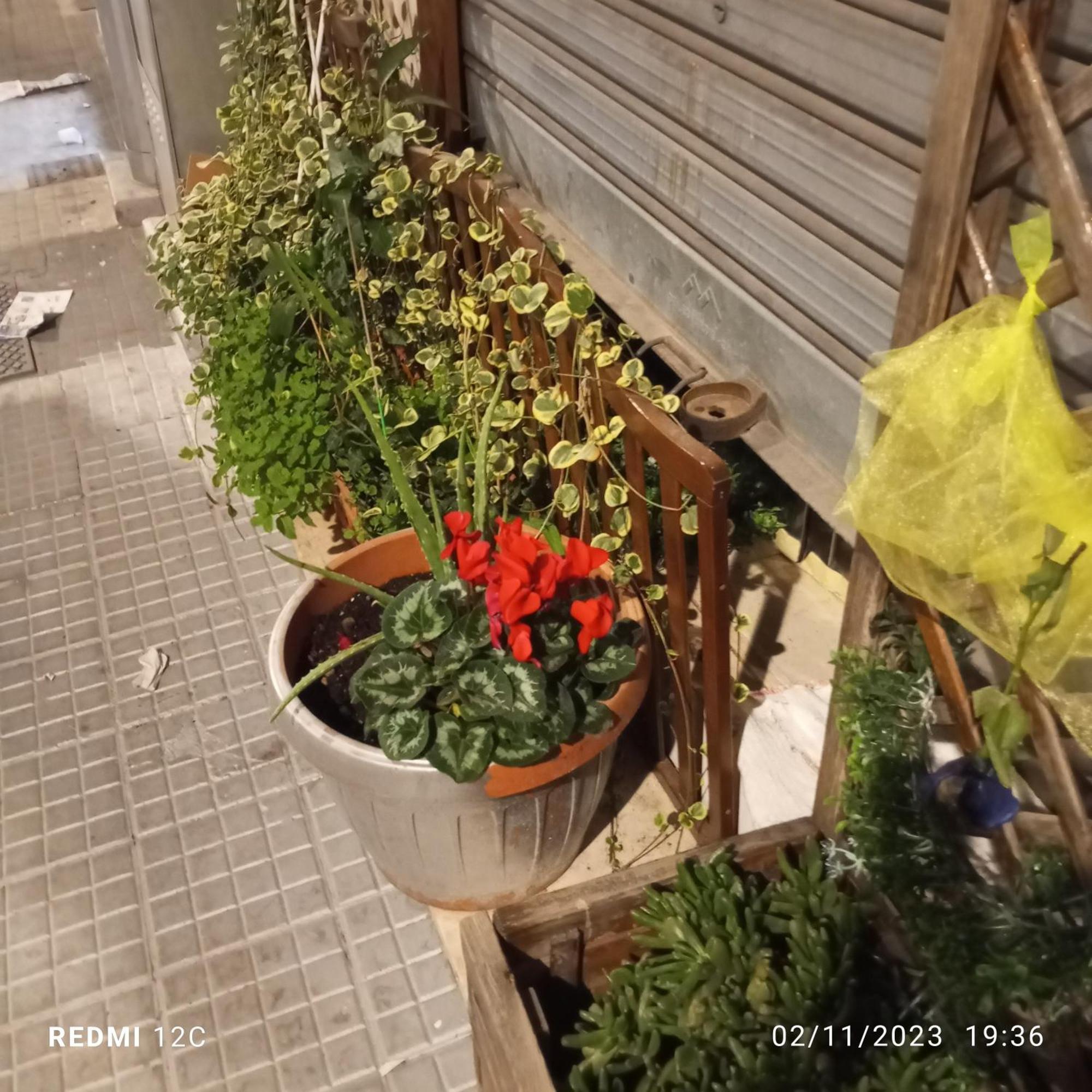 Apartamento The Nest Of Envy Bari Exterior foto